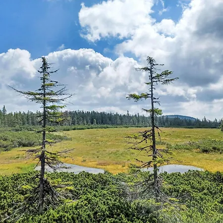 Апартаменты Marika 2 By Interhome Черный Дул